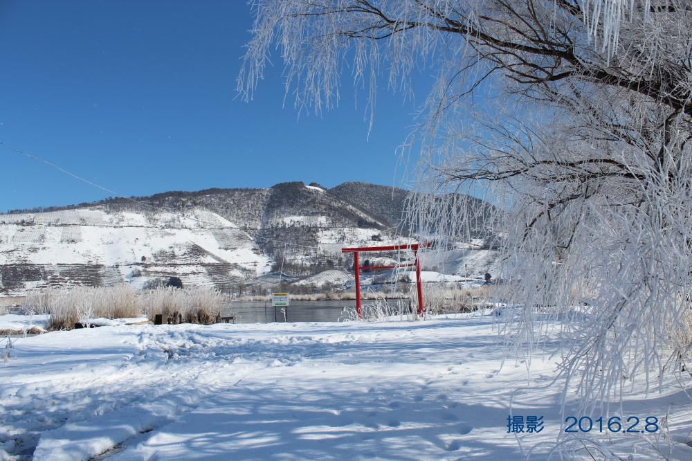 今朝も１５㎝ほどの雪が積もりました　毎日雪の風景にうんざりでしょうか　「赤湯冬点描５」数年前のすごく冷え込んだ晴れた朝の白竜湖の風景です