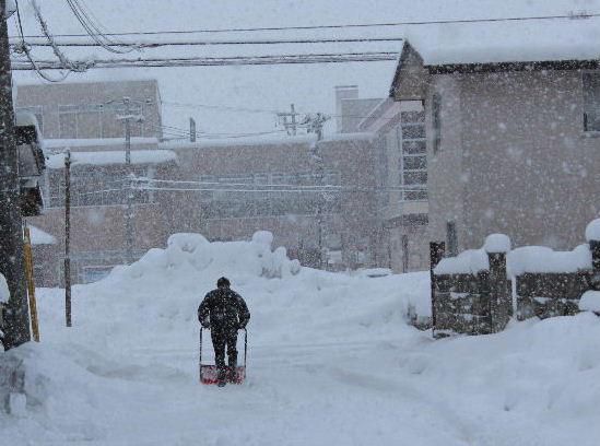 今朝も３０㎝近い降雪で、一昨日からからの積雪は５０～６０㎝は超えているのでは　それぞれの家庭では早朝から庭や道路の除雪に大わらわです　2月も下旬となりこれが最後の雪であってほしいものです　でも今日も一日雪の天気予報です