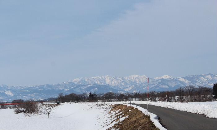 遠くに残雪の山々が見え春の兆しが見え始めました　今日の天気予報は晴れではありませんが気温も少し上がりこれまでの寒さが少し和らぎそうです　一日一日春への足音が大きくなってきます