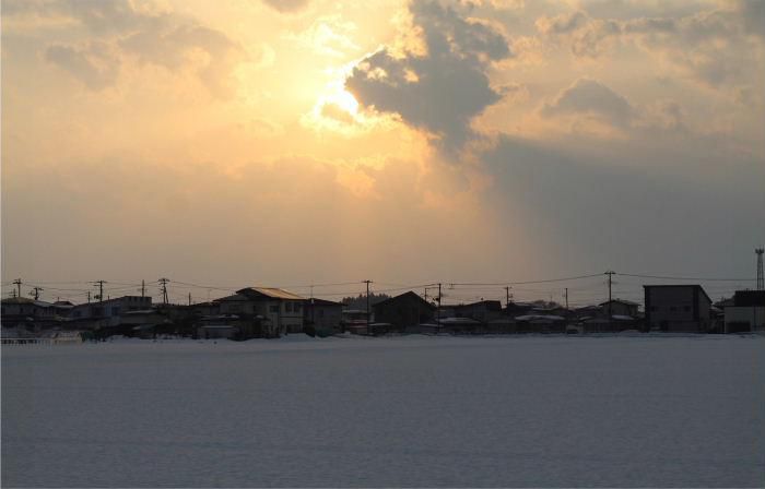 昨日の夕方久しぶりに夕焼けを見ました　だいぶ日が長くなり春が近づいていることを実感しています　我が家で一番最初に咲くクロッカスが緑の芽をだしました　鮮やかな黄色や紫の花を咲かせるのはいつになるのでしょうか