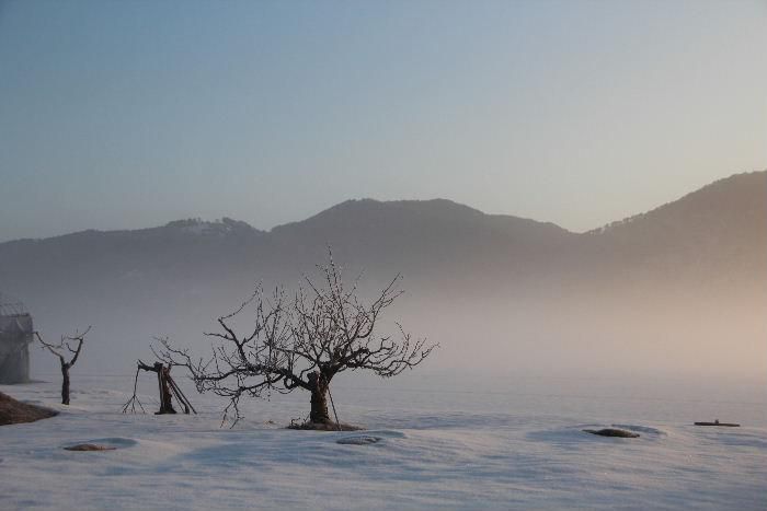 早春の朝のなんともいえない幻想的な風景です　見事に晴れ上がった青空　冷え切った空気　低く垂れこめた霧　どれもが早春の風景です　一日一日春が近づいて明日は弥生３月で暦の上ではいよいよ春となります　コロナが収束せず３日続けてコロナの感染者が出ている南陽市ですが早く収束し思い切り春を満喫できる日がくることを祈っています