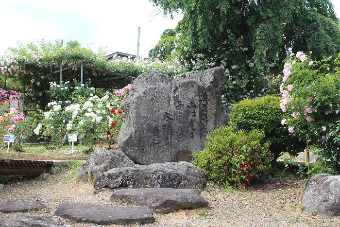 双松公園のバラをみてきました　暑さのせいか花がしおれてかわいそうなバラもありました　公園の中腹に南陽市が生んだ児童文学者「須藤克三」の歌碑があります　歌碑には「ふるさとの山は光る　子どもらは太陽を呼ぶ」と刻まれています