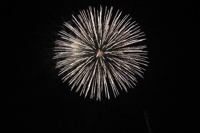 今日は花は花でも花火です　昨夜赤湯地区の盆踊り大会に代わって花火大会が行われました気合をいれてカメラを構えましたが花火の写真撮影は難しい　なんとか２，３枚撮れましたのでアップします　花火のきれいさは伝わらないかもしれないが