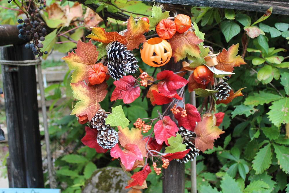 とても素敵なリース秋色の「ハロウィンリース」とでもいうのでしょうか目にとまりました　残念ながら我が家の玄関ではありませんが我が家にある草花で創ってみようかななんて思っています　その時はこのブログで紹介します