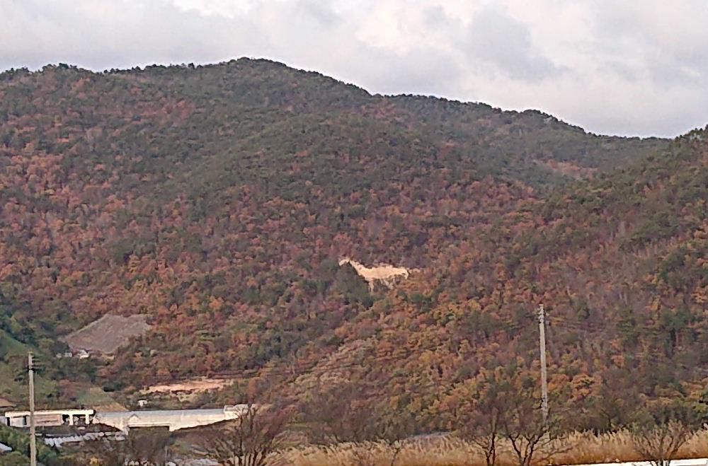 紅葉に染まった赤湯の十分一山に恐竜が現れました