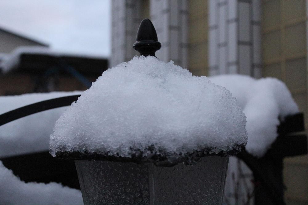 青空も見えてきました　大雪になるのかと心配しましたが庭や道路の雪はまもなく解けそうです　少しでも雪が積もるのは遅いほどありがたいです　もうちょっとだけ雪を降らせないでください