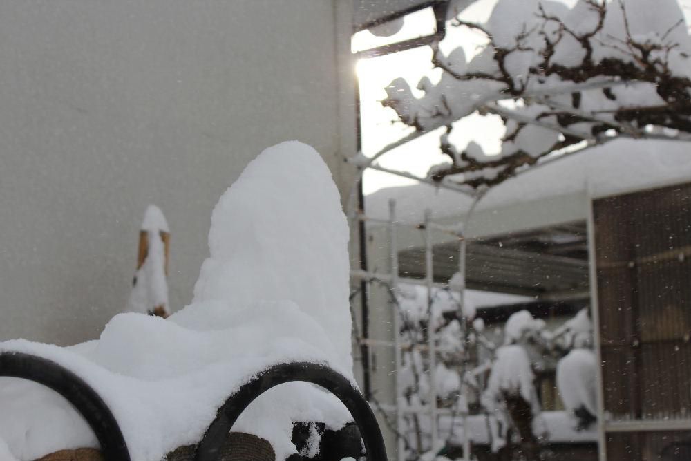 積雪３０cm　今も雪が降っています　これからどのくらい降るのでしょうか