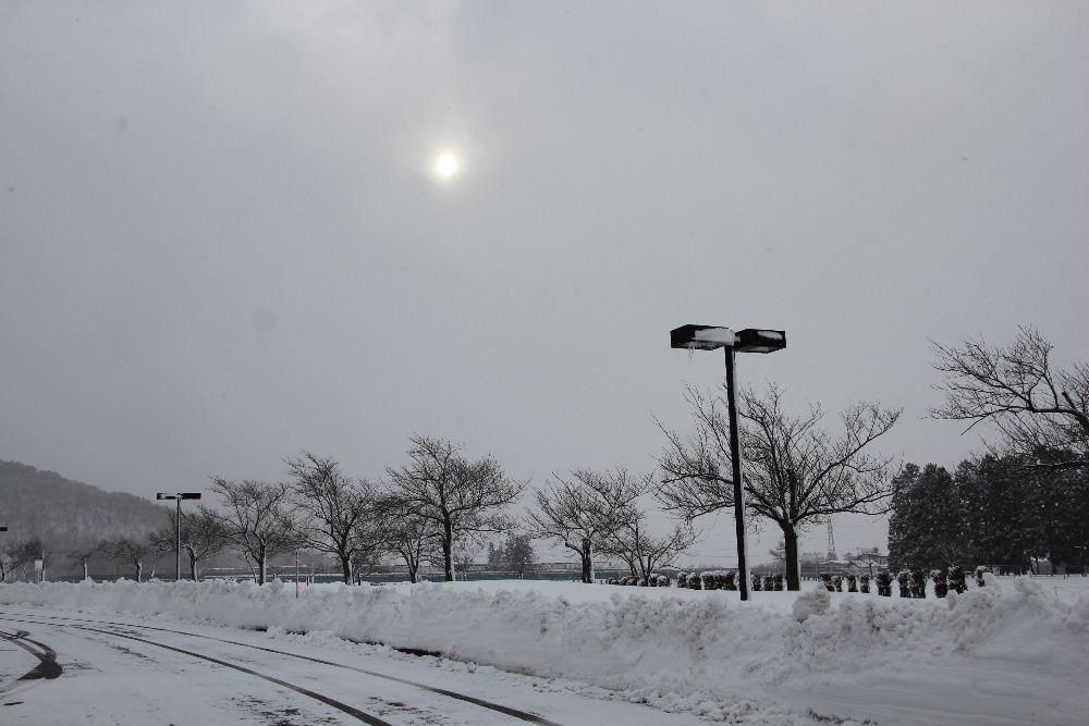 昨夜からの雪が３０cm以上あったでしょうか　すごい雪ですねえ　大通りも除雪が追い付かないのでしょうか車のすれ違いも大変です　明日まで雪が降るとのことで積雪はどのくらいになるのでしょうか