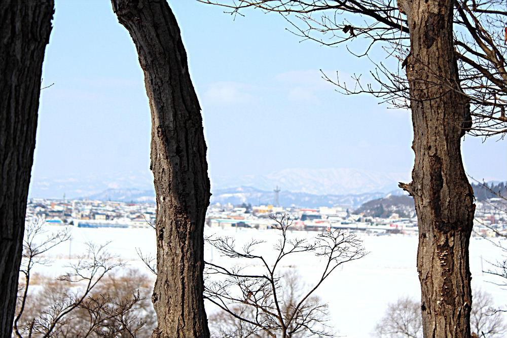 数日来春近しと感じていましたがまた冬に逆戻りしたかのように雪が降っています　でも着実に春は僅かずつではあるが忍び寄るように近づいています