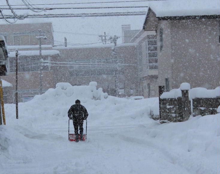 春が近づいてきたと思っていましたが今朝は大雪で雪かきにおおわらわ　昨日の河原の早春の風景がウソのように吹雪の朝となり２０センチ近い雪が積もっていました　この天気が２，３日続くと言われています　昨日北京オリンピックの閉会セレモニーで羽生結弦は「春よ、来い」のピアノの演奏で演技していましたがまさに私達の気持ちにピッタリの曲だったとうっとりとみてしまいました