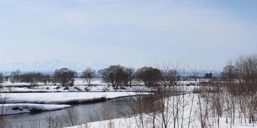 昨日から気温が上がりだし春の兆しが見え始めました　最上川（松川）と吉野川の合流地点に風景もどこか春を感じさせるようになってきました　もう少しで花の便りがお届けできる日がまもなくやってきます
