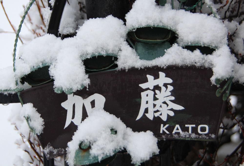 これが春の淡雪というのでしょうか　降っていた雪が止み陽ざしが注いでいます　降った雪も水を含んだ重い雪です　枝に積もっていた雪も解けてきました　今日明日とあまり良い天気ではないようですが今度こそ本当の春がやってくるのでしょうか