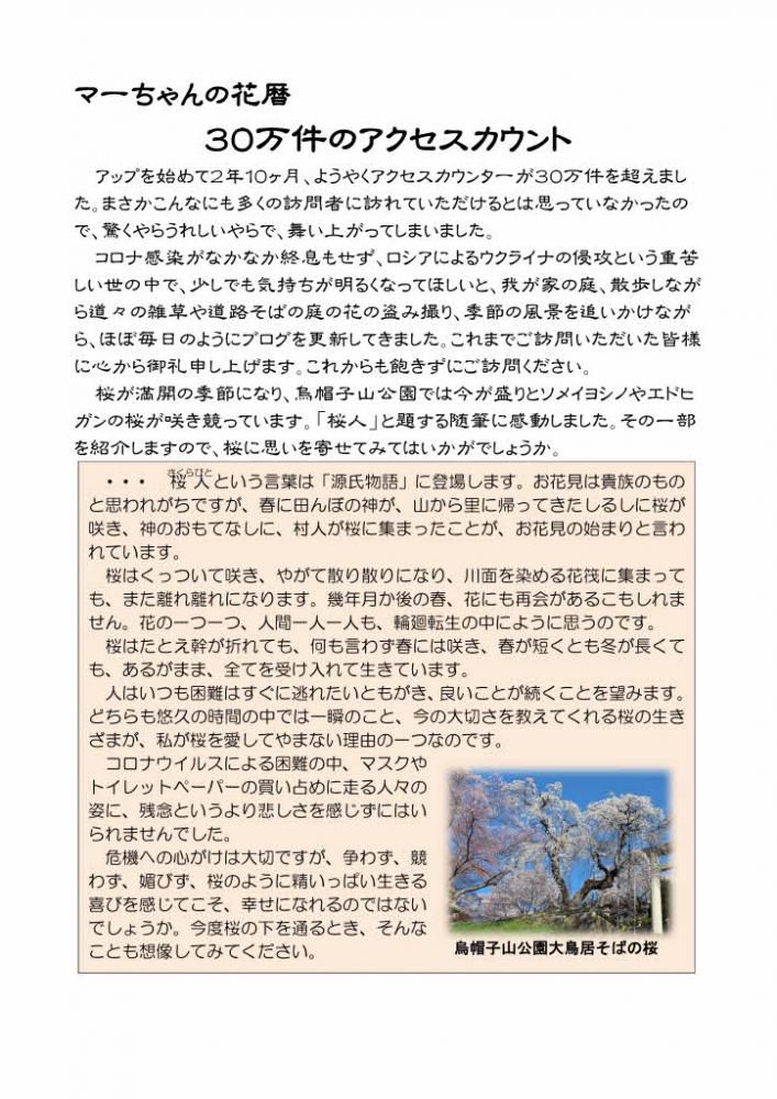 ついにというかようやくというか「マーちゃんの花暦」のアクセスカウンターが３０万件を突破しました　これまでご訪問いただきました皆様に感謝いたします　お一人お一人がボタンをカッチと押していただいた数が３０万回と途方もない数になり驚いています　これからもあまり気取らずに楽しんでいただけるブログの発信に心がけてまいりますので飽きずご訪問下さい。
