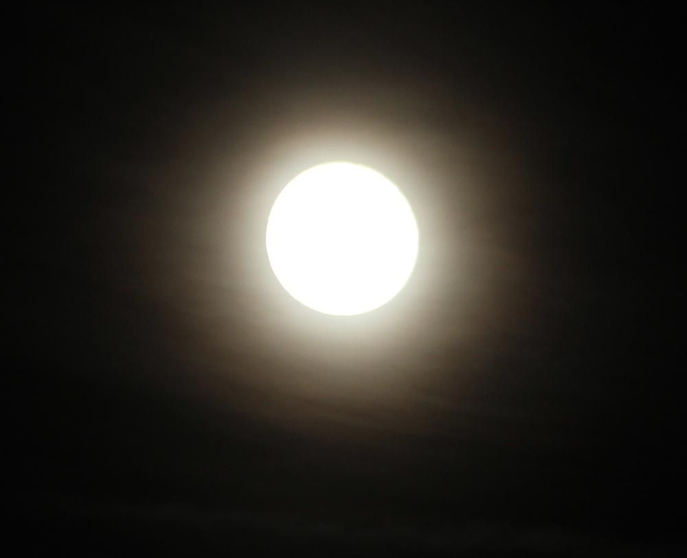昨夜は中秋の名月でしたが楽しめましたか　今宵は十六夜の月で古くから歌題で読まれてきました　ある新聞のコラム欄に次のような一文がのっていましたのでご紹介します　【・・・十六夜の月を見上げた徳富蘆花は、雲の美しさにも目をとめた。(白雲団々　月に近きは銀の如く光り　遠きは綿の如く和らかなり)。太陽からもらった光を、月は別の誰かに惜しむことなく与えている。・・・】高齢者の私には何かを感じさせてられる十六夜の月でした