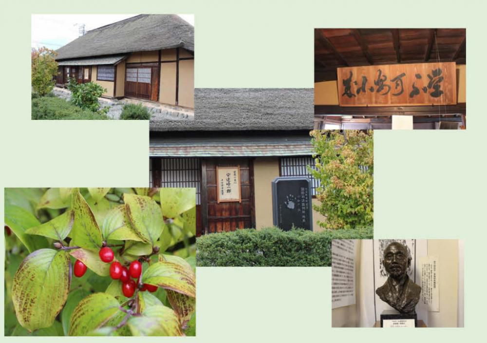 山辺町出身で国際司法裁判所所長を務めた「安達峰一郎」の生家を見学してきました　庭の入り口では「サンシュウユ」だと思われる紅い実が迎えてくれました　生家そばの公民館の方から詳しく説明していただき改めて山形県というよりは日本の宝であろうと感銘を深くしました