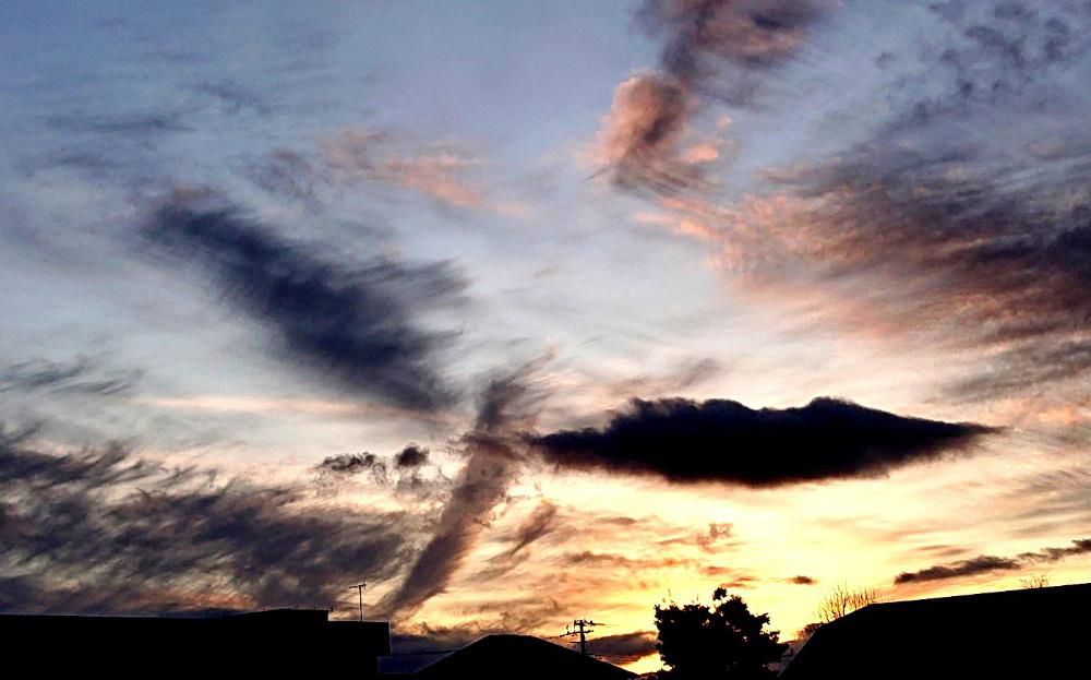 夕空に大きな黒い鳥が飛んでいるような雲が浮いていました　散歩していると道ばたの草はすっかり枯れてしまい花を見ることもなくなりました　花をつけているのはセイタカアワダチソウぐらいでこの花も雪が降ると雪の下に隠れてしまいます　まもなくそんな季節がやってきます