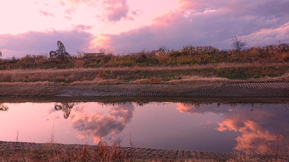 冷たい雨が降っています　いよいよ雪の季節がやってきます　一昨日の夕方散歩した時に撮った１枚です　川に夕焼け雲が映りこみ心なしか晩秋の寂しさを感じる１枚です