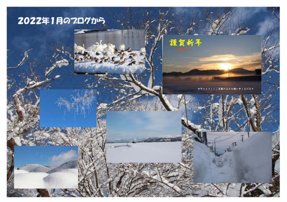 今年も残すところ半月をきりました　「マーちゃんの花暦」には花ではなく雪の風景になりました　今年１年のブログを１か月ごとにちょっと振り返ってみます。　大雪の１月でした