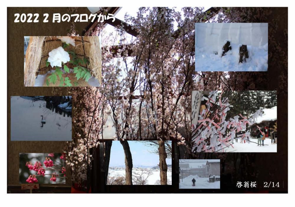 「２０２２年２月のブログから」　２月は少し春の兆しが感じられる月です　冬咲きボタン祭りとか啓翁桜も飾られるようになりますがまだまだ冬の装いの月でした　春待ちわびる月が２月です