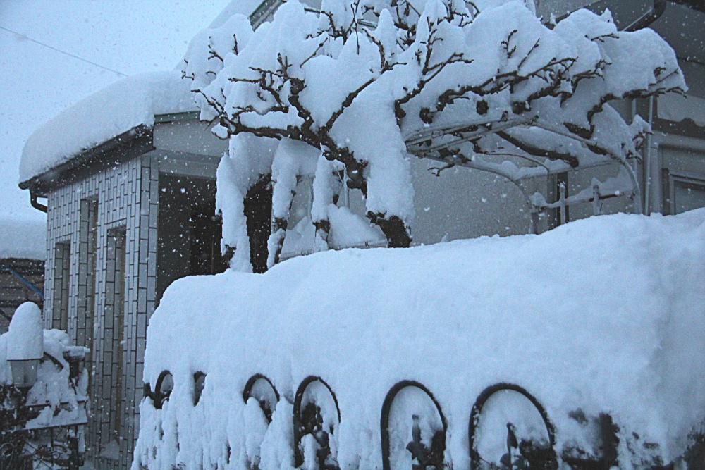 クリスマス寒波が到来し積雪が２～３０センチあり朝から雪かきに大わらわ　間違いなく雪が降るんですね　