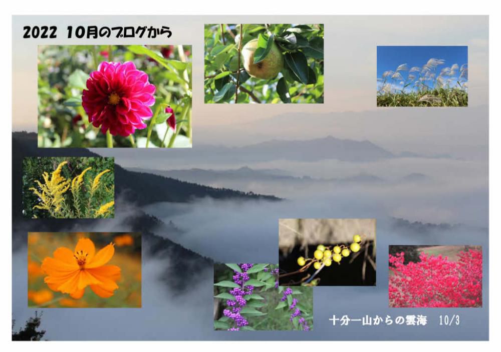 「2022 １０月のブログ」から　木々の実や果物が実り周りが秋色になってきました　今年も大雨で川西町や飯豊町では川の氾濫で「ダリや園」が壊滅的な被害を受けましたが多くの人々の力で開園できたことが思い出されます　