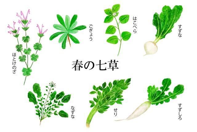 早いもので年が明けて7日になりました　今日は七草がゆを食べるという風習があります　中身もよくわからずいつも七草がゆを食べています　スーパーには七草セットが売っています　そのそばにはフリーズドライの七草やレトルトパックの玄米粥もありました　50年後１００年後までこの風習はのこっているのでしょうか　皆さんはお召し上がりなりましたか　