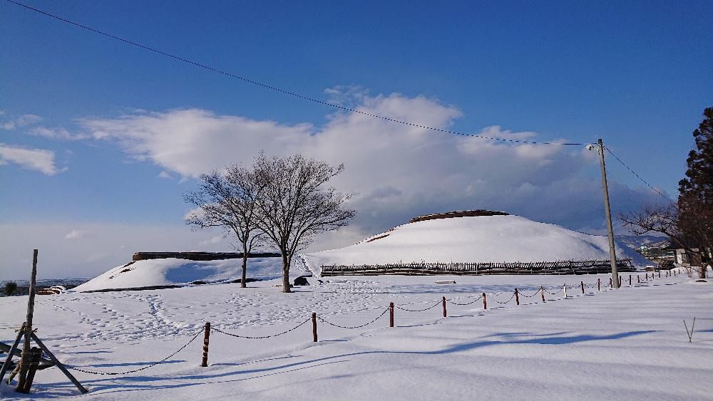 雪も峠をこしたのでしょうか　昨日は散歩していると汗ばんでくるような陽ざしでした　真っ白な稲荷森古墳　一面の銀世界の冬の田んぼ　水辺に白鳥も姿を見せている吉野川　どれもが春や夏とは別の顔をみせています　今年は雪が少なくて喜んでいるのは私ばかりではないのかも