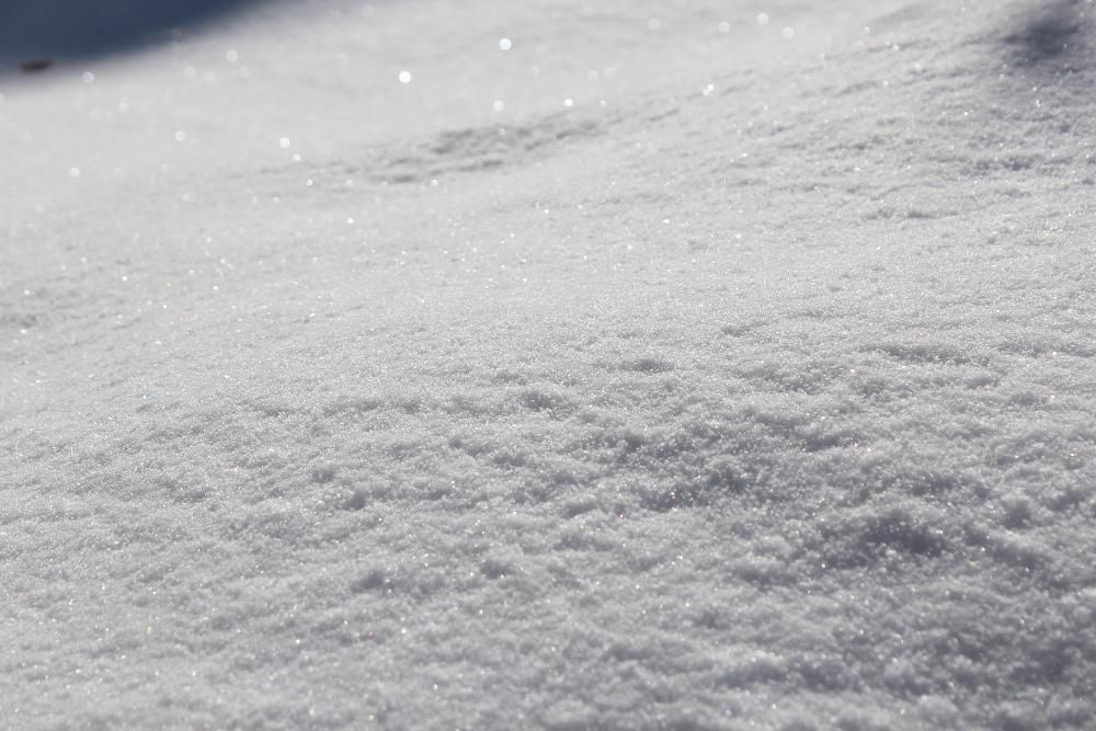 厳しい寒に雪がキラキラと太陽の光を受けてダイヤモンドのように輝いています　真っ白な雪の上の小さな輝きはまさに宝石です　晴れた寒い朝の一瞬です
