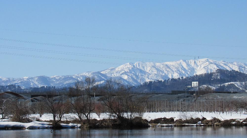 今日から弥生3月　いよいよ春の季節のスタートで高校の卒業式も行われます　朝から青い空に浮かぶように真っ白な山が太陽に輝いています　沖郷中の裏の堤にはカモが気持ちよさそうに浮かび春の雰囲気を漂わせ陽の光で輝いています　春がやってきましたねえ