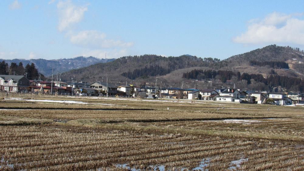 春の陽ざしに田んぼの雪がどんどん解けてきました　所々で土が顔を出して（散歩してみたら田んぼにほとんど雪がありませんでした）春を告げようとしています　天気予報も雪マークが少なくなり太陽がサンサンと降り注いでいます