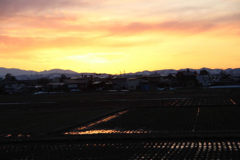 すっかり春のような陽気で天気の良い日の夕焼けも格別鮮やな色で周りを照らしてくれています　吉野川の流れや川の両側の護岸も赤く色づいていました　「吉野川残照」そんな題を付けたくなる風景です