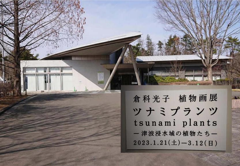 倉科光子植物画展を見に車で２時間ほどかけて南相馬市博物館まで行ってきました　たまたま見たテレビのニュースで津波浸水域に育っている植物を描いている作家の作品が展示されていることを知りこれが描いた絵かと驚きました　その繊細さは見る人の心を打つものでした　１枚だけアップしました　作者の思いを感じとってもらえればと思います