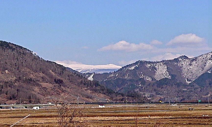 暖かな日が続きます　遠く蔵王が見え 薄っすらとスキーのコースらしきものも見えます　早春の風景の一コマです　田んぼにはまもなく北に帰る白鳥が餌をついばんでいます