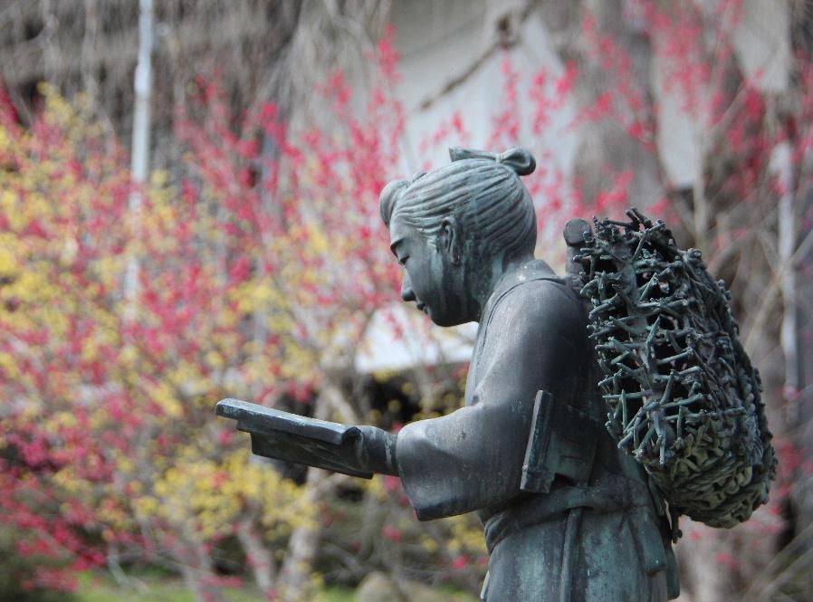梅の花のそばの二宮金次郎の銅像をみてきました　どこの小学校にでもあった銅像ですが今の子ども達は全くわからないだろうとと思われます　いったい何歳以上の人がわかるでしょうか　母校の校庭に建立されていた懐かしい銅像を思い出します