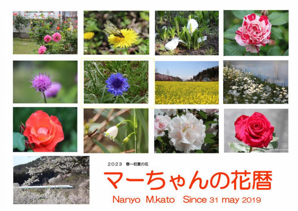ついにアクセスpvが５０万件となりました その間アップした記事が１４００を超え　４年と１か月余りで５０万pvというのは我ながら驚いています　５０万件といっても一人の人が何回もこのブログに訪問してもその都度カウントされますので訪問した実人数は少なくなるものと思われますがそれでもかなりの方がこのブログをみてくれたことを考えるととてもうれしくなります