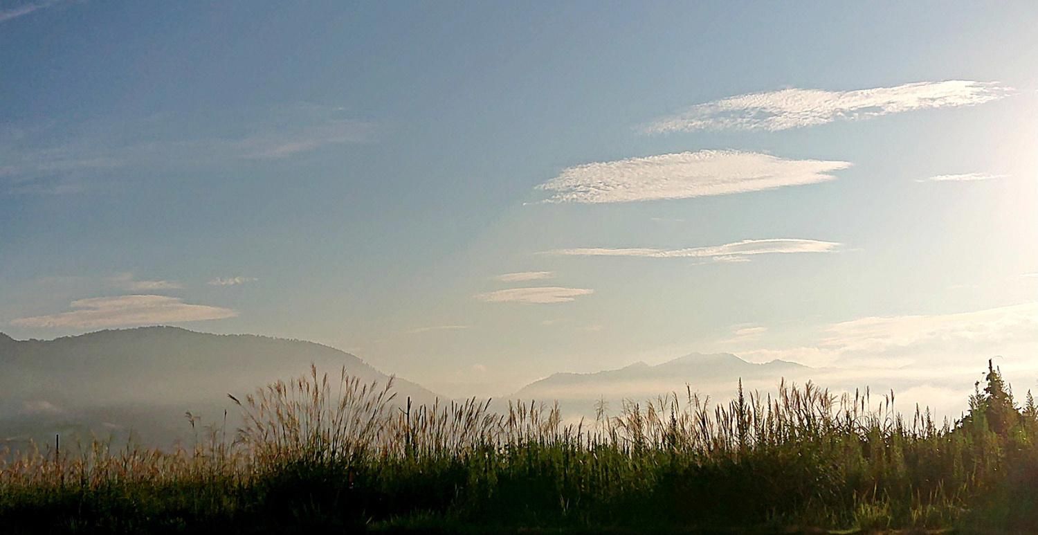 深い霧に覆われていましたがようやく晴れて今日も暑い日になりそうです　昨日の朝の写真です　東の山並みが白み太陽が昇り　高い空　薄くはけでなぞったような雲　山を包むような霧　どれもが秋を伝える風景です　日中は相変わらず暑いのですが朝晩はようやくしのぎやすくなってきました　秋は駆け足でやってきそうです