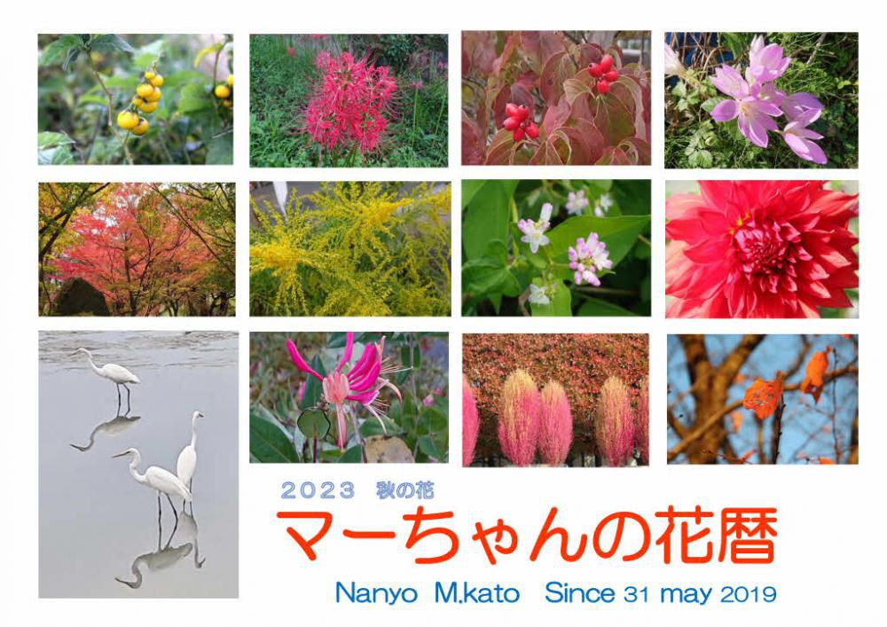 昨日こよみの上では「立冬」で冬の足音が聞こえてきそうな日となりました　全国的にはまだまだ暑い（？）が続いています　咲いている花を伝えるこのブログ紹介できる花がだんだん少なってきました　冬を迎えようとする今　今年撮った秋の花や風景を選びまとめてみました　このブログのトップの夏の花と比べてみてください　やっぱり秋ですね