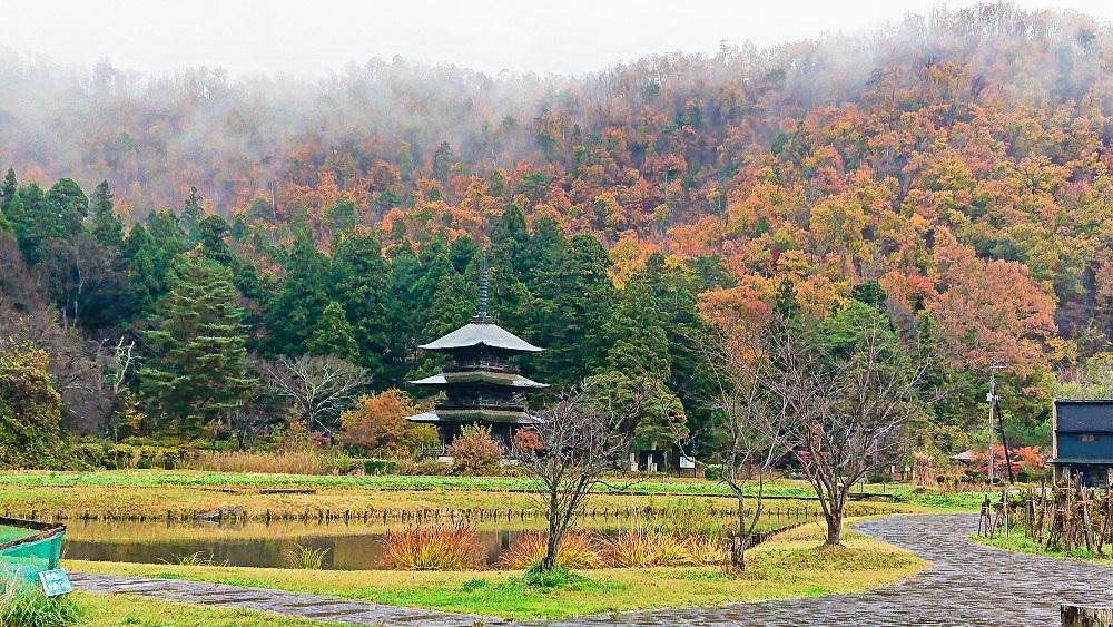 雨の予報でしたが朝から快晴です　秋は一雨ごとに秋が深まり冬が近づいてきますが今年はまだ雪が降っていません　昨日たまたま高畠町の阿久津八幡宮の三重塔付近をを通りました　背景の山が雨にけむり幻想的な風景を見せてくれていて思わず写真を撮りました　ここはまだ紅葉真っ盛りでした