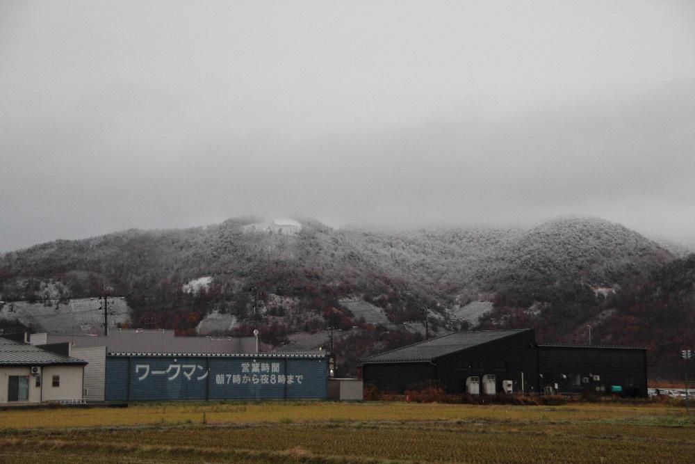 いよいよ明日から師走１２月　今朝窓から見える山が雪をのせています　孫が「ちょんまげ山」と呼んでいた十分一山　恐竜山と呼んでいた十分一山と連なる山で恐竜の姿が見える山腹も白く雪が見えくっきりと恐竜の姿を確認することができました　１２月を前についに雪がふりましたねえ 