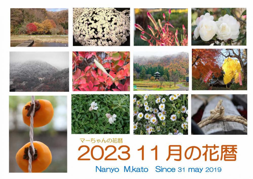 すっかり秋の装いとなった周りの山々は黄色や紅く色づき秋真っ盛りの季節です「2023　11月の花暦」はそんな風景や草花を伝えてきました　雪を見始めるのもこの季節です　いよいよ冬を迎える準備が始まるのもこの頃です