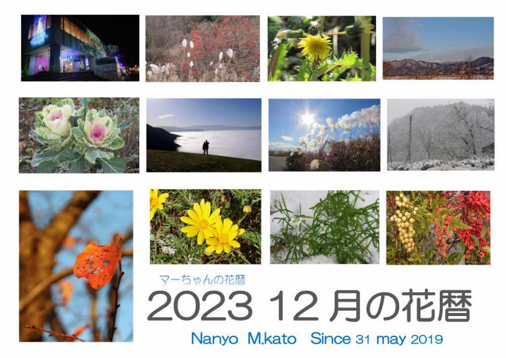 雪の少ない12月となりました　まもなく新しい年を迎えようとする今日は２８日です　「2023 １２月の花暦」は雪の風景も少なく撮影する花もない月で花暦というにはさびしい月となりました　あと３日で今年も終わりです