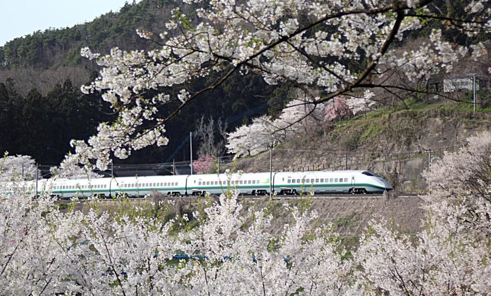 今年1年ほぼ休むことなく記事をアップしその数は４００通近い数になりました　どの写真も私にとってはその時々に熱い思いを感じたものばかりです　どれもが私にとってはベストワンですがその中名から３枚を選んでみました