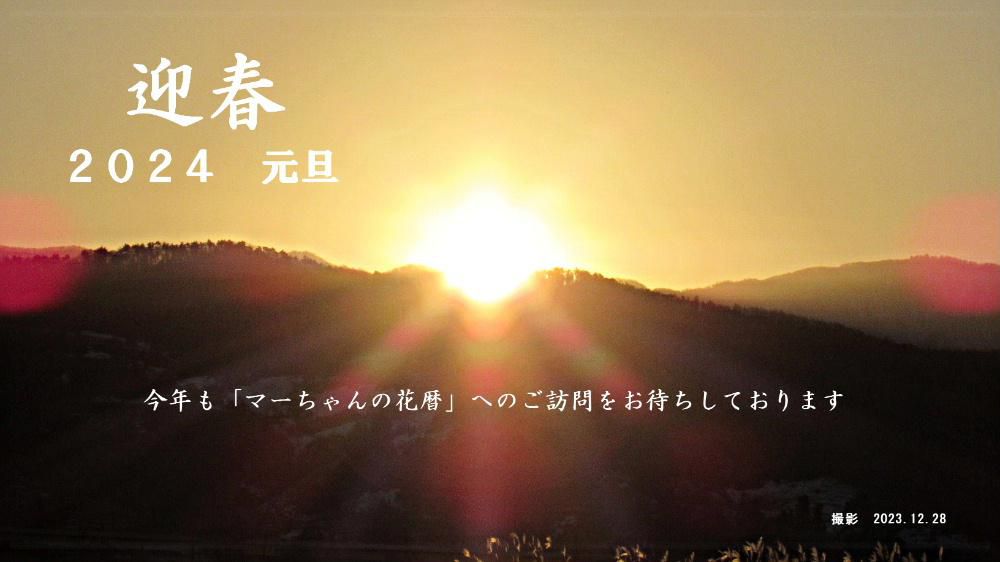 明けましておめでとうございます