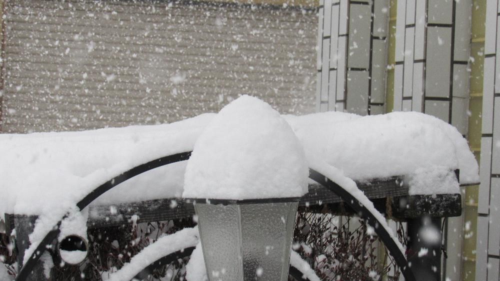 昨夜からの雪は心配したほどではなかったのですが今朝になって強く降り始めました　今冬初の積雪となり根雪となりそうです　明日からは少し穏やかになりそうですがこのまま雪の少ない冬をと願うのはわがままでしょうか