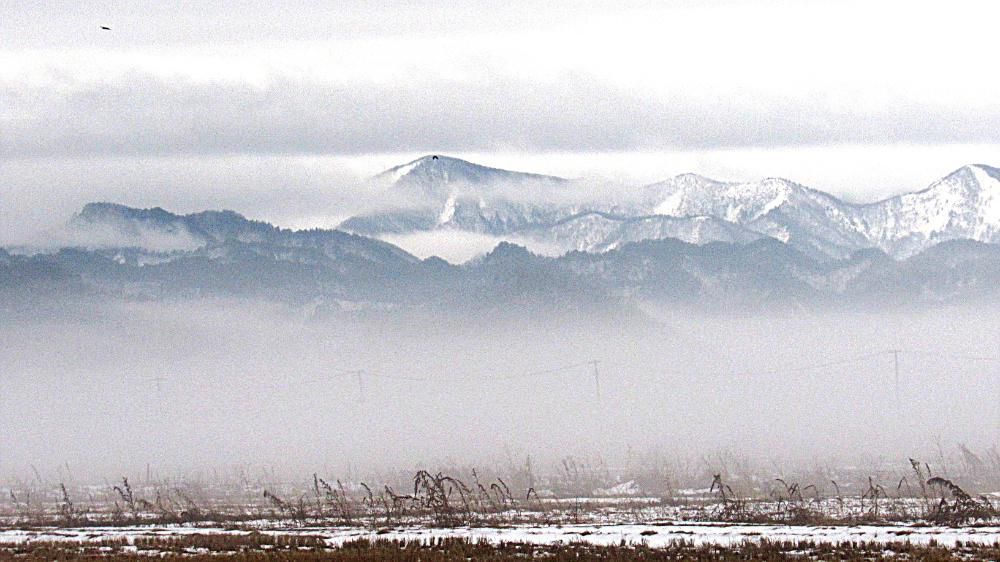 昨日の午後からは雪でなく雨がふっていました　田んぼの雪も解け田んぼと遠くの山の間にはモヤがかかっており幻想的な風景が広がっていました　１月の半ば過ぎですが3月上旬の気温だったそうでこれまで雪が降らずにこんな風景を見ることができるというのはまさに異常気象でしょうか  「モヤ」と「霧」の違いがわからないんですが？