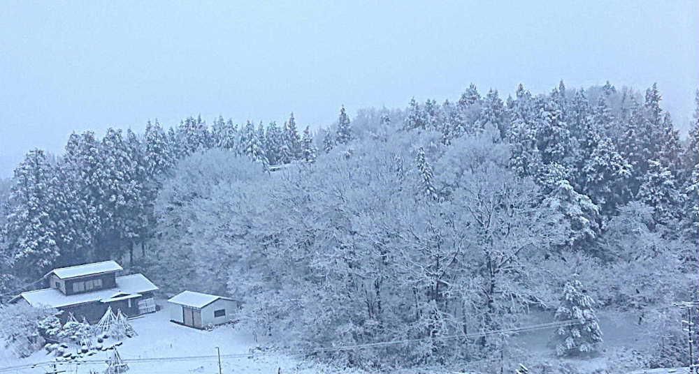 やっぱりまだ冬ですねえ　一昨日までの暖かさとはうって変わり雪が積もりました　とある建物からの写真です　どのくらい積もっているのでしょうか　思ったように花暦に良い写真がアップできない環境です　もうしばらくお待ちください　
