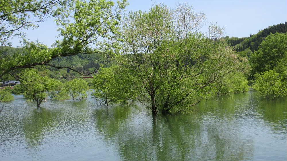 良い天気に誘われて飯豊町の白川ダム湖畔で水没林で緑の空気を吸ってきました　青い空 緑の山々 残雪の飯豊山 深い緑のダムとまさに初夏の風景の代表となるような場所です　キャンプのたくさんのテントが張られボートを漕いで遊ぶ人たち散策を楽しむ人など思い思いに暖かなひと時を過ごしていました　穏やかになれた一日でした