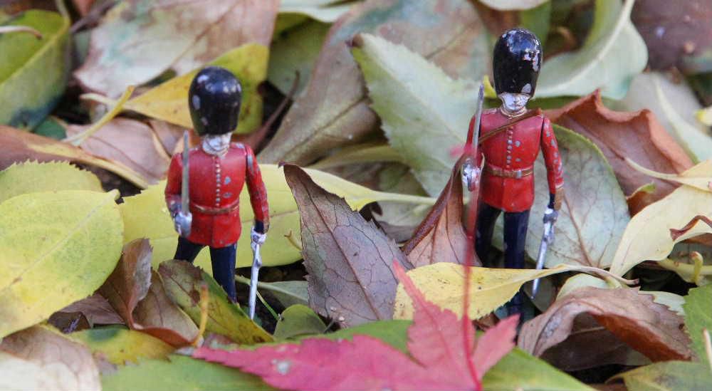 落ち葉の中を行進するイギリスの兵隊さんです　咲いている花が少なくなり落ち葉の季節になりました　花に代わって落ち葉や周りの風景しかカメラの被写体がなくなりました　落ち葉の中に小さな人形をおいて撮影してみました　秋を楽しむ写真の一枚です