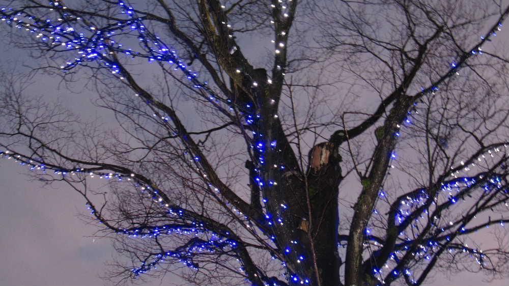 近所の病院の木にイルミネーションが点灯しました　まもなくクリスマスですが高齢者の我が家にはサンタクロースもこないだろうとひっそりとしたものです　少し晴れ間も見えてきましたので初めての孫が生まれた時に買った屋外用の３００球ほどのイルミネーションを飾ろうかと思っています　少しでも明るくなってくれればと