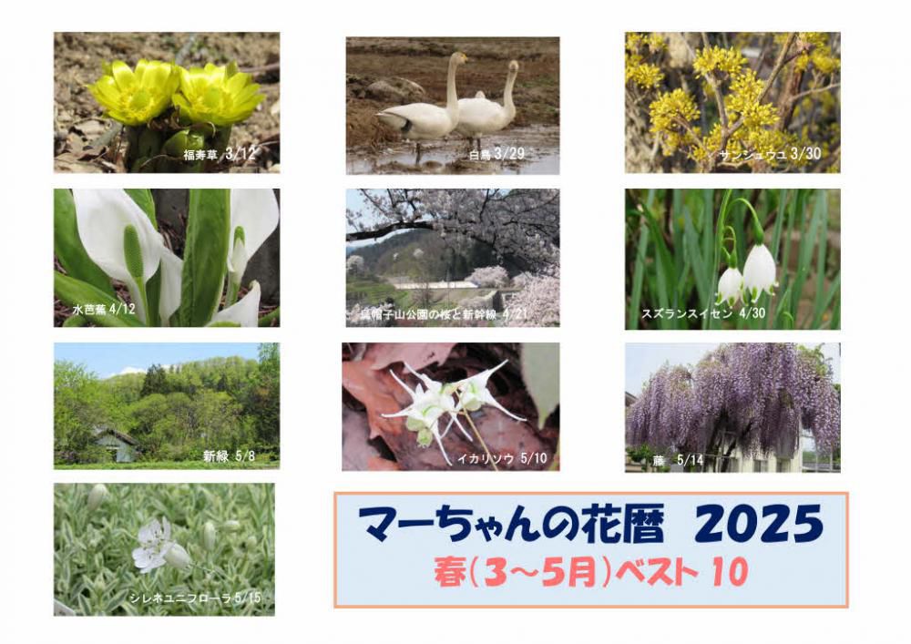 今年もあと4日になりました　雪の季節を迎えアップする花もなくなりましたので　今年1年の花暦を四季に分けて季節ごとのベスト１０を選んでみました　選出基準は特になく花にこだわらず季節感を伝えているものを選びました　貴方にとってのベスト１はどれですか